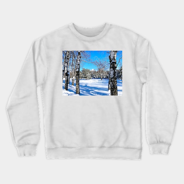 Scenery at the Sormovsky Park in Nizhny Novgorod with birches, trunks, coniferous trees, snow Crewneck Sweatshirt by KristinaDrozd